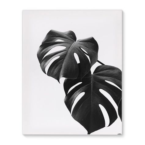 Monstera Wall, Monstera Print, Nature Poster, Black And White Photo Wall, Afrique Art, Black And White Picture Wall, Poster Black And White, Nature Posters, Tropical Leaf