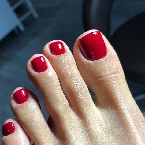 Best Summer Pedicure Colors, Summer Pedicure Colors, Red Toenails, Natural Nails Manicure, Summer Pedicure, Pedicure Colors, Gel Toe Nails, Acrylic Toe Nails, Toe Nail Color