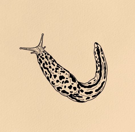 Banana Slug Illustration, Trail Of Ants Tattoo, Leopard Slug Tattoo, Slug Tattoo Cute, Slugs Drawing, Coelacanth Tattoo, Banana Slug Tattoo, Skye Tattoo, Slug Illustration