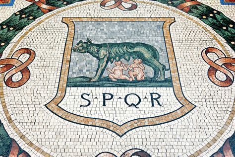 mosaic on the floor of the She-Wolf and Romulus and Remus Ancient Rome Aesthetic, Rome Aesthetic, Romulus And Remus, Cow Boys, Roman Mosaic, Roman City, She Wolf, Byzantine Art, Roman Emperor