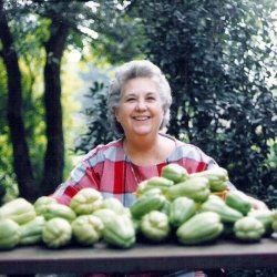 Stuffed Mirlitons and More New Orleans Recipes | HubPages Mirliton Recipe, Chayote Recipes, Chayote Squash, New Orleans Recipes, Cajun Creole Recipes, Cajun Cooking, Louisiana Recipes, Squash Casserole, Creole Recipes