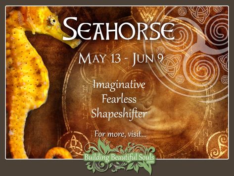 Seahorse Celtic Zodiac Sign - May 13 - June 9. Learn all about your Celtic Animal Zodiac meanings Stag Spirit Animal Meaning, Celtic Animal Zodiac, Deer Totem, Spiritual Husband, Celtic Zodiac Signs, Animal Totem Spirit Guides, Celtic Zodiac, Celtic Star, Celtic Animals