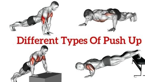 Push-ups can be performed, regardless of where you are and, best of all, they are completely free—no expensive equipment or annual gym fees required. There are different types of push-up variations to meet different needs. The classic push-up has survived the test of time and is the single most efficient exercise to simultaneously strengthen the chest, arms, deltoid, lower back, abs and glutes. #pushupvariations #PushUps #Typeofpushup Push Up Types, Different Types Of Push Ups, Types Of Push Ups, Push Up Muscles, Proper Push Up, Pushup Variations, Diamond Push Ups, Wall Push Ups, Renegade Rows