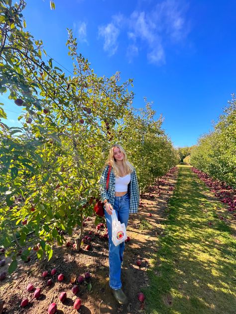 new york apple picking Apple Picking Photoshoot Friends, Apple Picking Instagram Pictures, Apple Picking Poses, Apple Picking Outfit Fall Casual, Apple Picking Photoshoot, Apple Picking Pictures, Apple Orchard Photoshoot, Apple Picking Aesthetic, Apple Orchard Pictures