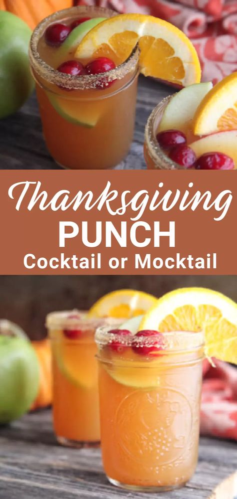 Thanksgiving Recipes Drinks, Thanksgiving Punch, Thanksgiving Cocktail Recipes, Fruit Sorbet, Homemade Soda, Soda Shop, Fall Cocktails Recipes, Thanksgiving Drinks, Thanksgiving Cocktails