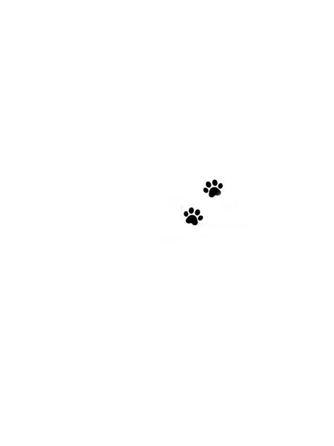 Geometric Paw Print Tattoo, Westie Tattoo Minimalist, Cat Paw Tattoos, Medium Tattoos, Tiny Tattoos For Women, Evil Eye Tattoo, Ear Tattoo Ideas, Palm Tattoos, Paw Tattoo