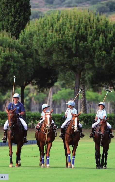 Horse Information, Equestrian Helmets, Polo Horse, Equestrian Helmet, Sport Of Kings, Polo Match, Types Of Horses, Sports Aesthetic, Equestrian Lifestyle