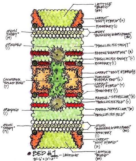 LETTUCE BED Biointensive Gardening, Square Foot Gardening Layout, Companion Gardening, Garden Companion Planting, Vegetable Beds Raised, Growing Tomatoes In Containers, Vegetable Garden Raised Beds, Garden Layout Vegetable, Vegetable Garden Planning