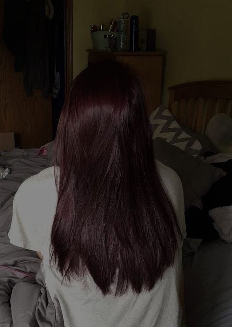 Deep Red On Black Hair, Very Dark Burgundy Hair, Cherry Brown Hair Aesthetic, Dark Maroon Hair Color, Dark Cherry Red Hair Box Dye, Dark Redish Purpleish Hair, Darkest Red Hair Color, Blackberry Burgundy Black Hair, Dark Berry Red Hair