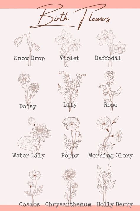 Birth flowers are specific flowers that are associated with each month of the year, and they are believed to represent certain qualities and characteristics that are associated with people born in those months. Here are the birth flowers for each month #astrology #zodiacsigns #horoscope #astrologylover #astrologyfacts #astrologyart Flowers For Each Month, Astrology Art, Astrology Facts, Types Of Women, Birth Flower, Star Sign, What Type, Birth Flowers, Months In A Year