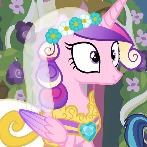 Princess Cadance Mlp, Mlp Cadence, Canterlot Wedding, Flurry Heart, Mlp Icons, Princess Cadence, Friendship Games, Queen Chrysalis, Celestia And Luna