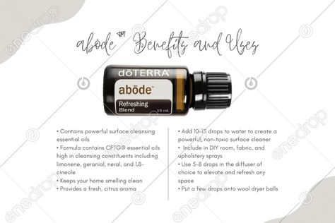 Tea Tree Benefits, Thyme Benefits, Oranges Benefits, Grapefruit Benefits, Lemon Benefits, Doterra Wellness Advocate, Citrus Twist, Positive Mood, Wild Orange