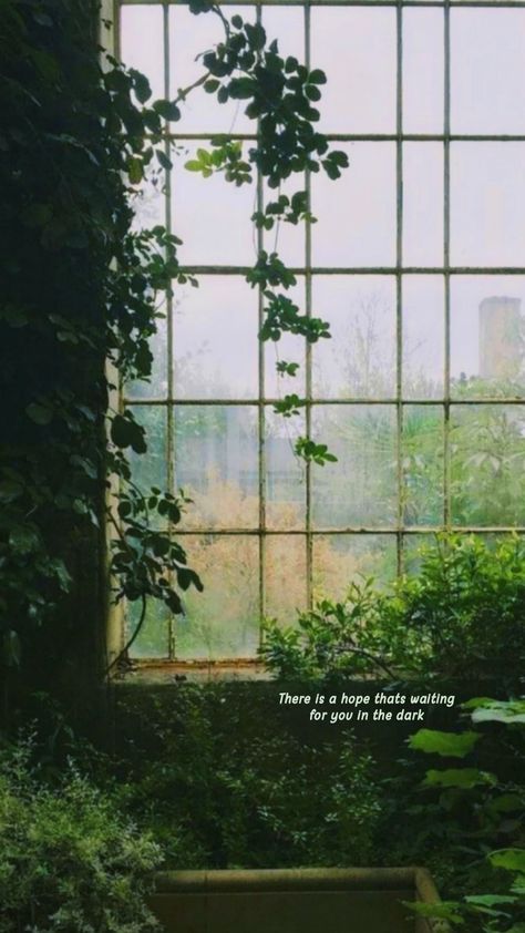 Wallpaper Green Nature, Green Nature Quotes, Green Lockscreen, Nature Quote, Wallpaper Green, Plant Aesthetic, Green Nature, Nature Quotes, Green Aesthetic