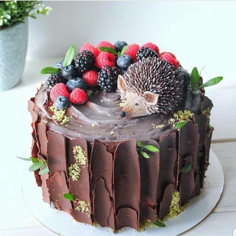 Fab Cakes, Hedgehog Cake, Animal Cakes, Fancy Cakes, Cake Creations, Pretty Cakes, Creative Cakes, Cute Cakes, Pavlova