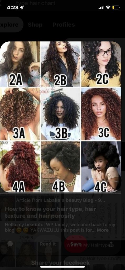 Different Hair Textures Chart, Perm Vs Natural Hair, Hair Chart Texture, Hair Type Chart African Americans, Hair Types Chart Texture, Curly Hair Types Charts, Black Hair Types Chart, 3a Hair Type, Curl Type Chart