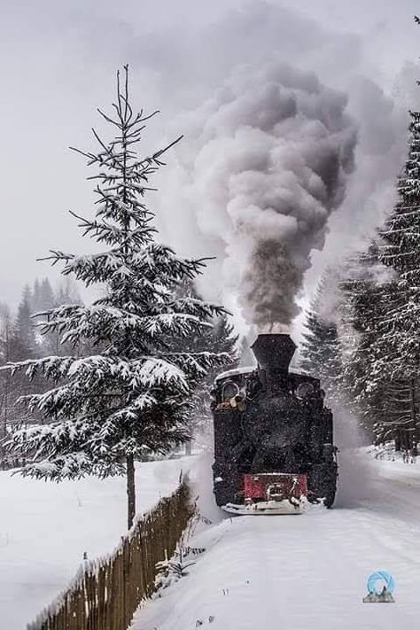 Germany In Winter, German Winter, Winter Train, Budget Friendly Travel, Magical Winter, Old Trains, Steam Train, Train Pictures, Christmas Train