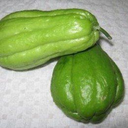 Choko Recipe, Chayote Benefits, Choko Recipes, Squash Benefits, Mirliton Recipe, Vegan Squash, Chayote Recipes, Autumn Vegetables, Chayote Squash