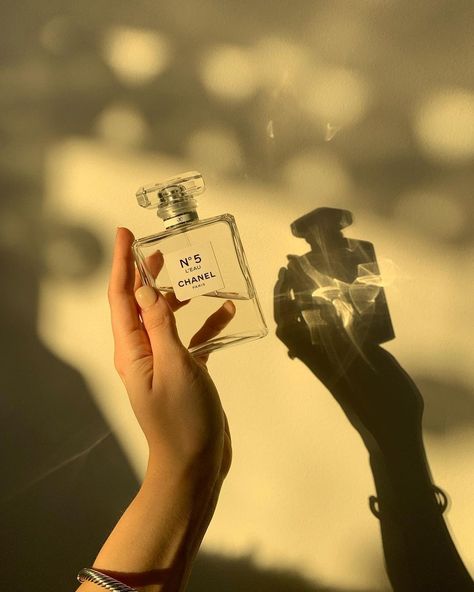 Perfume Business, Elizabeth Grace, Aesthetic Golden Hour, Perfume Chanel, Chanel Aesthetic, Chanel Perfume, Product Photography, Aesthetic Photography, Golden Hour