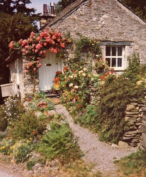 Dream cottage.. Can I please have this? Cute Cottages, English Country Cottage, Cottage Aesthetic, Fairytale Cottage, Cottage In The Woods, Dream Cottage, Cabins And Cottages, Country Garden, Little Cottage