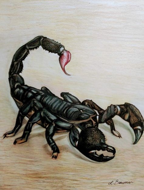 IMPERIAL SCORPION by Lori Beaumier on ARTwanted Scorpion Painting, Scorpion Drawing, Frog Drawing, Ceramic Art Sculpture, Portfolio Images, Life Paintings, Art References, Art Sculpture, New Artists