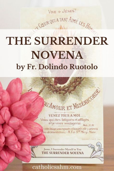 The Surrender Novena by Fr. Dolindo Ruotolo - Catholic Stay-At-Home Mom Surrender Prayer, Surrender Novena, Novena Prayers Catholic, Novenas Catholic, Gods Will, Our Father Prayer, I Surrender, The Will Of God, Will Of God