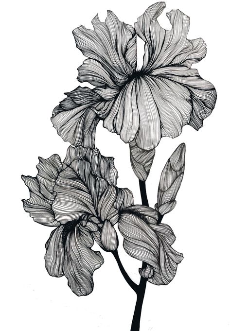 Ink Illustrations Flowers, Fineliner Art, Armband Tattoos, Black And White Art Drawing, Flower Art Drawing, Flower Sketches, Floral Drawing, Wrist Tattoo, Botanical Drawings