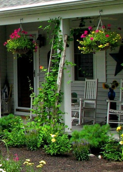 Garden Planning Ideas, Paver Patio Ideas, Ladder Trellis, Playhouse Plan, Urban Gardening Ideas, Garden Front Of House, Diy Outdoor Decor, Urban Gardening, Porch Garden