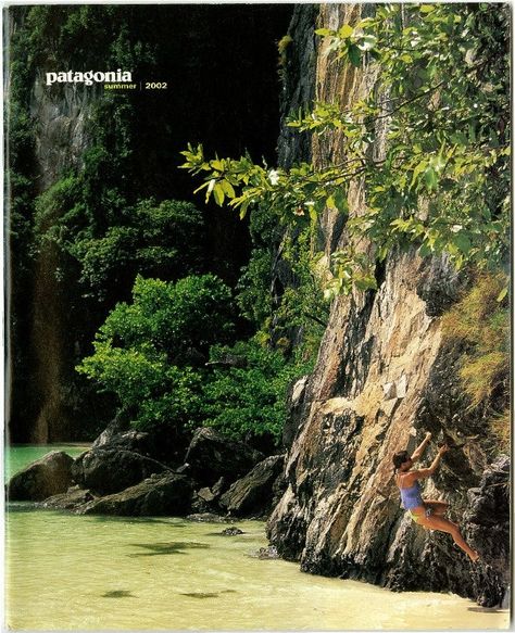 Patagonia Summer, Lofi Art, Vintage Poster Design, Dorm Posters, Vintage Patagonia, Best Ads, Nature Posters, Picture Collage Wall, Old Ads