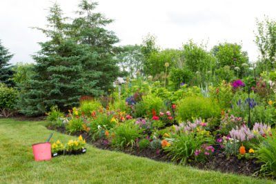 Burm Landscaping, Tattoo Plant, Easy Landscaping, Home Landscaping, Perennial Garden, Ornamental Grasses, Garden Structures, Flowers Perennials, Flowering Trees