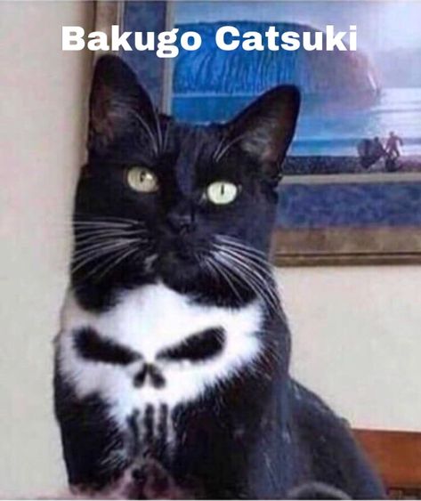 Emo Animals, Demon Animal, Black Cat And White Cat, Emo Cat, Cat Demon, Goth Cat, Punk Cats, Regnul Animal, Gorgeous Cats