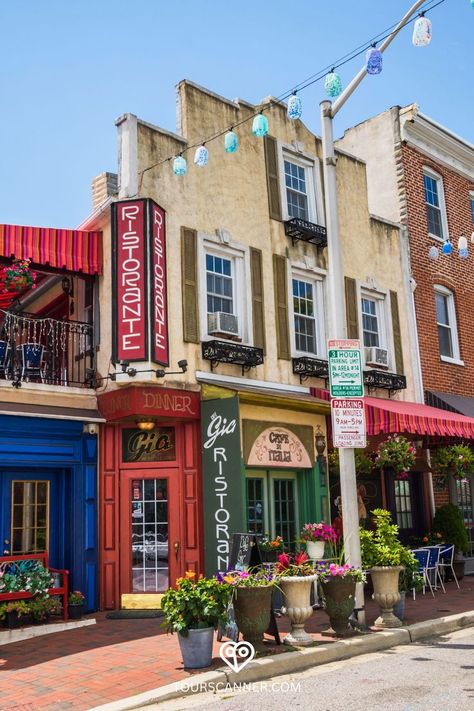 Experience the cultural tapestry of Baltimore with our guide to 'Things to Do in Baltimore 🏙️ Immerse yourself in the charm of this historic neighborhood, where cobblestone streets lead to culinary delights. Ready to savor the essence of Little Italy? 👉🔗 #BaltimoreAdventures #CharmCity #BaltimoreExploration #LittleItalyBaltimore Baltimore Street, The Penguins, Hill Park, Vacation Usa, Hot Air Balloon Rides, Air Balloon Rides, Pub Crawl, Little Italy, Baltimore Maryland