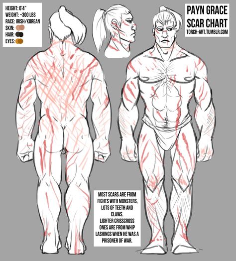 Leather Chest Armor, Scar Reference, How To Draw Scars, Conscious Art, Male Art Reference, Chest Armor, Character Sheet Template, Guild Wars 2, Body Drawing Tutorial