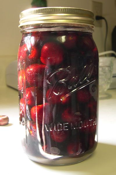 Brandy Cherries, Brandied Cherries Recipe, Homemade Liqueur Recipes, Brandy Recipe, Boston Food, Sour Cherries, Homemade Liquor, Liquor Recipes, Maraschino Cherries