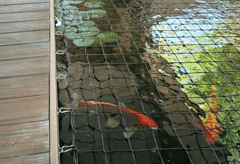 Pond Safety Net | Protect-A-Pond by Katchakid Pond Fence, Fish In A Pond, Koi Pond Ideas, Aqua Garden, Pond Covers, Koi Pond Design, Pond Netting, Nz House, Cute Chicken Coops