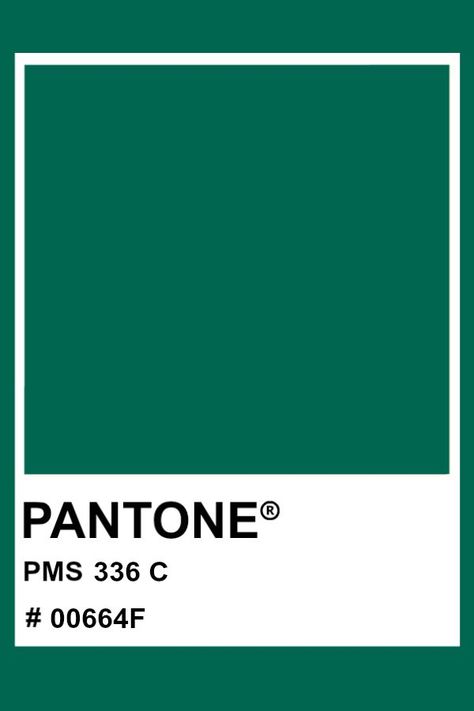 Orange Pantone, Pantone Green, Cool Summer Palette, Pantone Matching System, Pantone Color Chart, Pantone Swatches, Pantone 2020, Pantone Palette, Pantone Colour Palettes