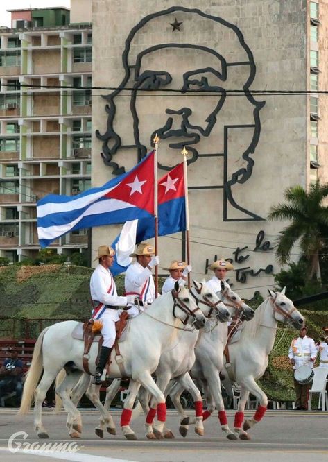 Viva Cuba, Ernesto Che Guevara, Cuban Culture, Airplane Fighter, Foreign Travel, Fidel Castro, Cuba Travel, Colonial Architecture, Havana Cuba