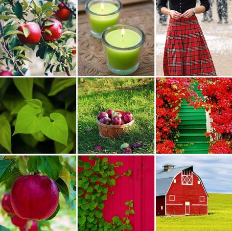 Apple Bath And Body Works, Bath And Body Works Scents, Dnd Bard, Moodboard Aesthetic, Mood Board Inspiration, Mood Board Design, Red Aesthetic, Color Pallets, Green Apple