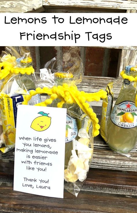 Lemonade Gift Tag Printable for Friends and Goody Bags Thank You Treats For Coworkers Goodies, Lemonade Gift Ideas, Fruit Classroom, Gnome Painting Tutorial, Lemon Gifts, Lemonade Gift, Gnome Painting, Sunshine Committee, Lemon Crafts