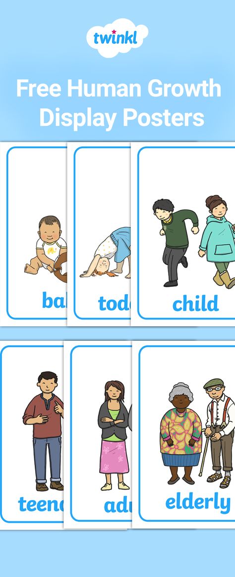 Free to download! This set of images and corresponding words is perfect for your teaching on the growth area of the ourselves / all about me topic. Great for use on display or to promote discussion during class activities. Visit the Twinkl website to download for free and discover thousands more teaching resources!   #classroomideas #classroomdisplay #humans #growth #growing #lifecycles #humanbody #teaching #teacher #freeteachingresources #teachingresources #twinkl #twinklresources Human Life Cycle For Kids, Life Cycles Preschool Activities, All About Me Topic, Life Cycles Preschool, Human Life Cycle, Human Growth And Development, Cycle For Kids, Life Cycle Craft, Human Biology