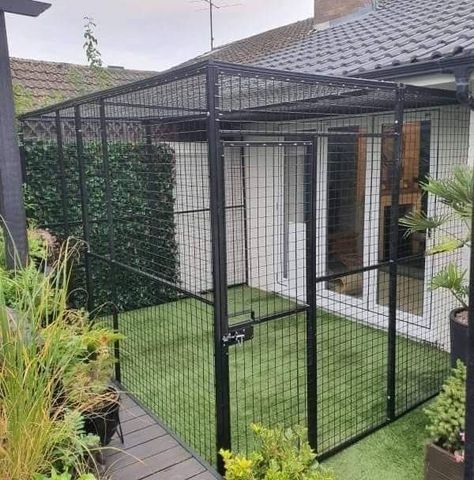 Outside Cat And Dog Enclosure, Outdoor Dog Enclosure, Cat Cages Outdoor, Cat Cage Ideas, Cat Patio Enclosure, Dog Cage Outdoor, Catio Ideas Cat, Cat Shed, Cat House Design