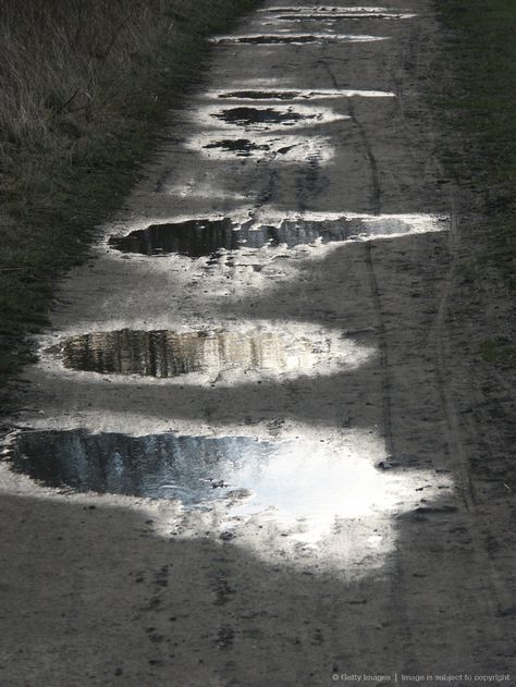 Rain puddles Savannah Core Aesthetic, Puddle Aesthetic, Puddle Painting, Savannah Core, Rain Core, Rain Puddle, Water Puddle, Post Apocalyptic Art, Vector Portrait