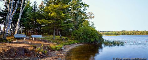 Gouldsboro Maine, Swans Island Maine, Chimney Pond Maine, Pond Covers, Almost Maine, Maine Attractions, Schoodic Peninsula Maine, All Fish, Surface Water