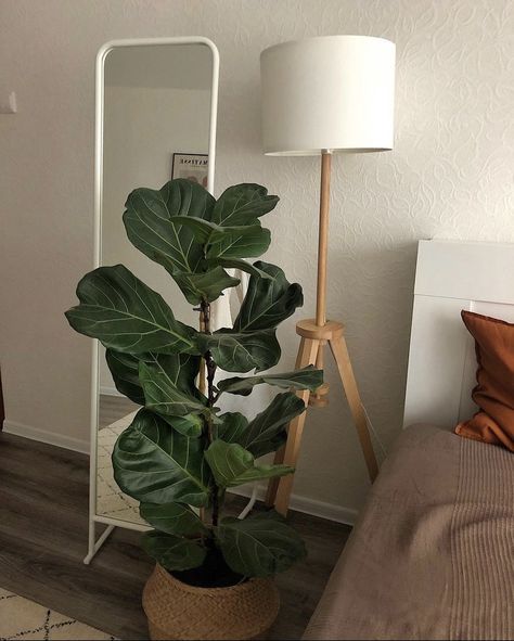 Plants In Bedroom Aesthetic, Plants In The Bedroom, Houseplant Aesthetic, Bedroom Plants, Room Deco, House Plants Decor, Minimalist Room, Apartment Decor Inspiration, Room Makeover Bedroom