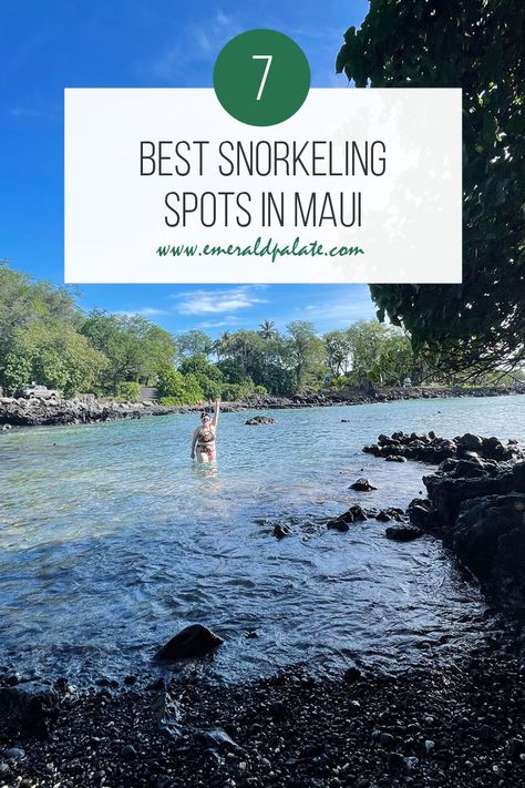 woman snorkeling at one of the best snorkeling spots in Maui Maui Map, Hawaii Snorkeling, Hawaii Trip Planning, Maui Snorkeling, Maui Hotels, West Coast Travel, Maui Resorts, Hawaii Travel Guide, Maui Beach