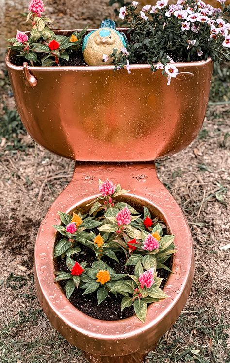 Toilet Flower Planter, Toilet Planters Garden Ideas, Garden Toilet Ideas, Repurposed Toilet, Toilet Planter, Rose Gold Spray Paint, Toilet Garden, Antique Tub, Garden Toilet