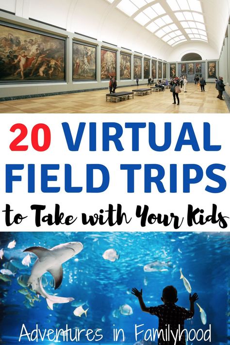 With school out, visit places and travel virtually with these 20 virtual field trips you can take with your kids. Remote Teaching, Visit Places, Virtual Field Trips, Virtual School, Virtual Learning, Boredom Busters, Kids Adventure, Field Trips, Digital Learning