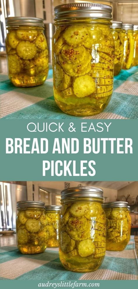 Diy Bread And Butter Pickles, Homemade Bread And Butter Pickles Easy, Bread And Butter Pickles With Honey, Pickling Cucumbers Bread And Butter, Bead And Butter Pickles Recipe, Recipe For Bread And Butter Pickles, Homemade Pickles Bread And Butter, Ball Bread And Butter Pickle Recipe, Quick Pickles Bread And Butter