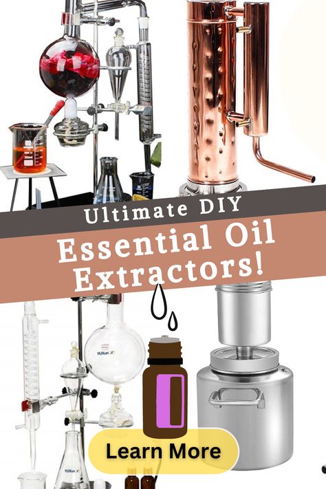 Diy Essential Oils How To Make, How To Extract Essential Oils, Distilling Essential Oils At Home, Distilling Essential Oils, Making Your Own Essential Oils, Make Essential Oils Diy, Steam Distillation Essential Oils, Making Essential Oils Diy, How To Make Essential Oils At Home