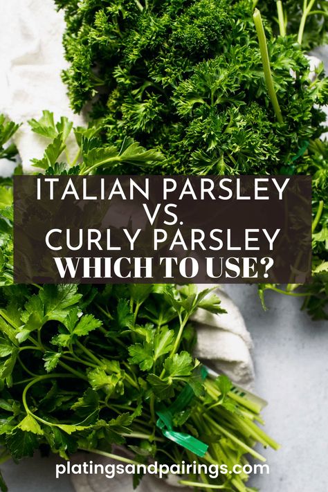 Italian parsley and curly parsley are herbs with distinct characteristics. Here's the differences, whether using as a garnish or flavoring. Curly Parsley Recipes, Parsley Benefits Health, Gremolata Sauce, Curly Parsley, Parsley Benefits, Parsley Recipes, Most Pinned Recipes, Italian Parsley, Chimichurri Sauce