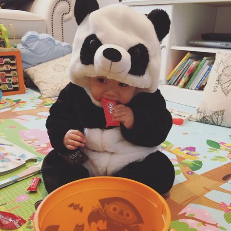 Baby Animal Costumes, Panda Onesie, Panda Items, Panda Costumes, Baby Costume, Outfit Halloween, Animal Costumes, Panda Love